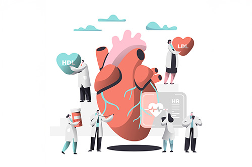 Understanding Cholesterol: LDL, ApoB, and Lp(a)